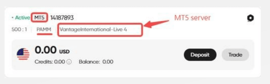 An MT5 PAMM investor account card in the client portal, with the platform and server highlighted.